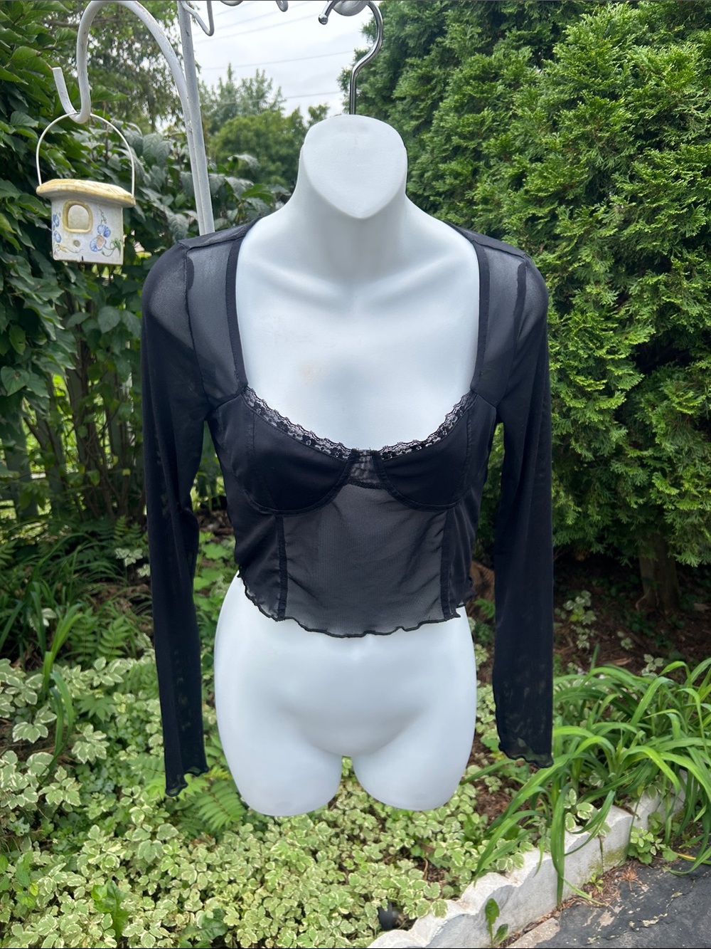 Sheer Black Long-Sleeve Crop Top
